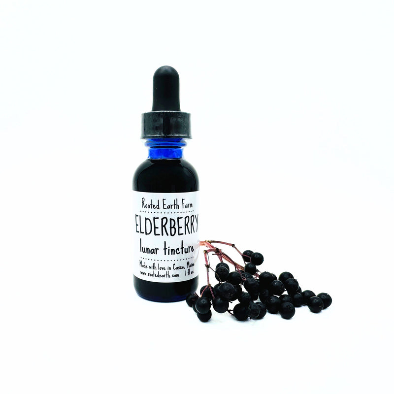 Rooted Earth Farm + Apothecary Elderberry Tincture Tinctures + Capsules