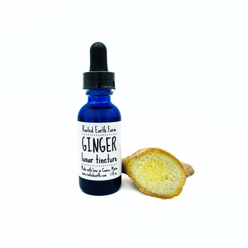 Rooted Earth Farm + Apothecary Ginger Tincture Tinctures + Capsules