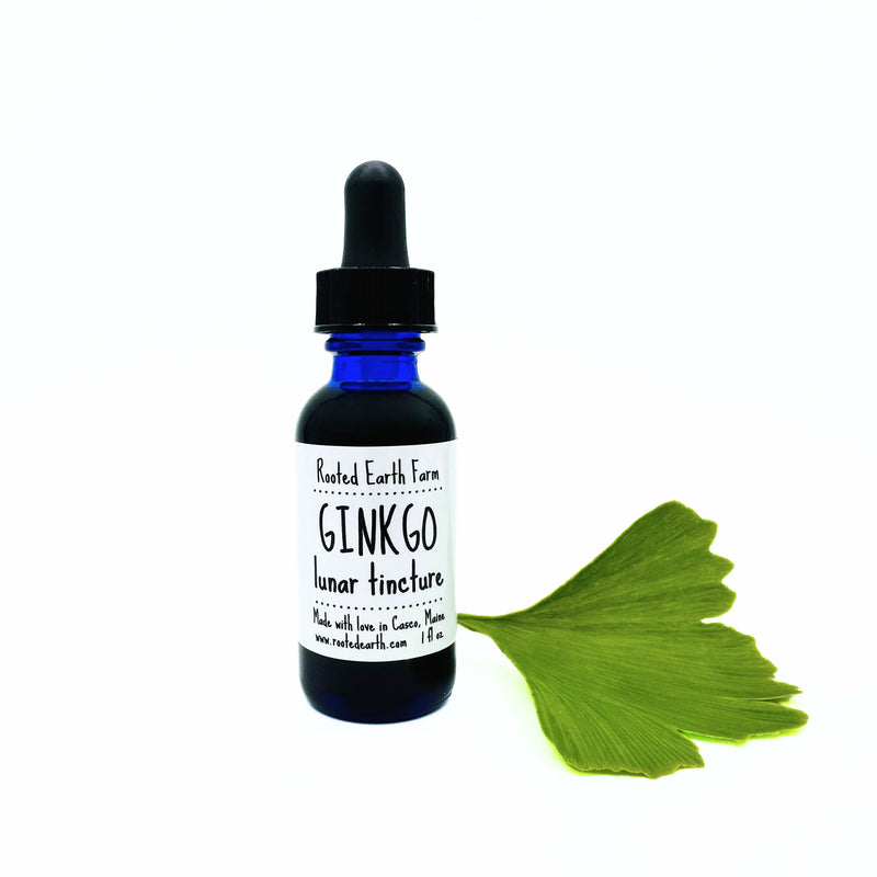 Rooted Earth Farm + Apothecary Ginkgo Tincture Tinctures + Capsules