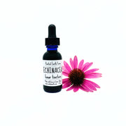 Rooted Earth Farm + Apothecary Echinacea Tincture Tinctures + Capsules