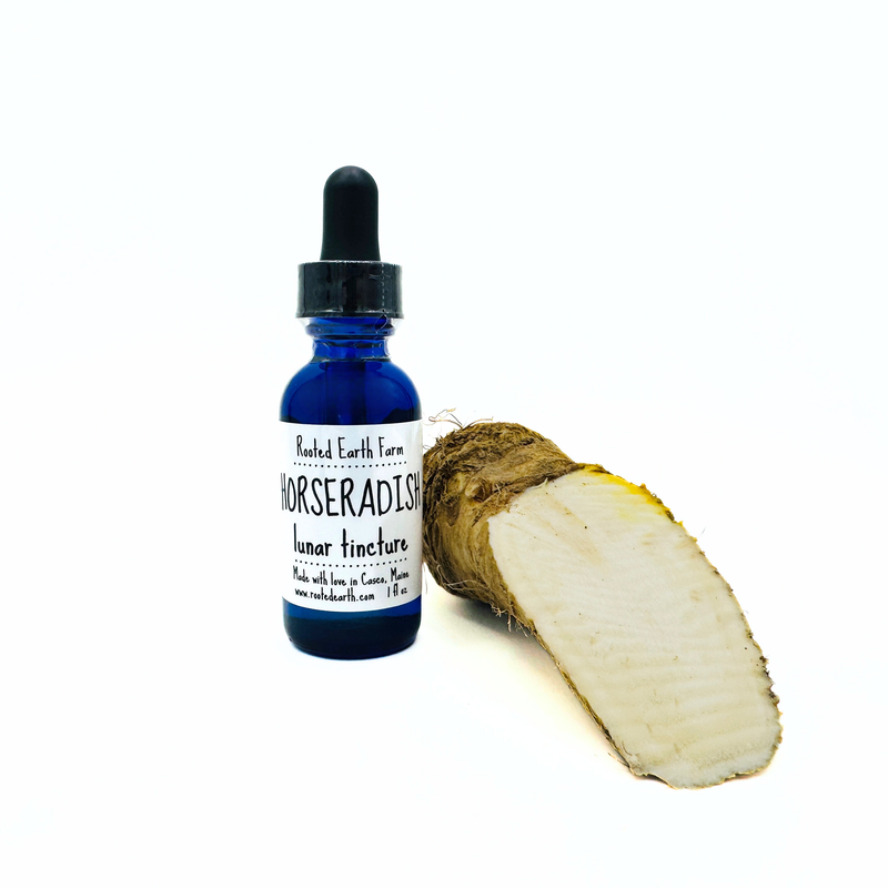 Rooted Earth Farm + Apothecary Horseradish Tincture Tinctures + Capsules
