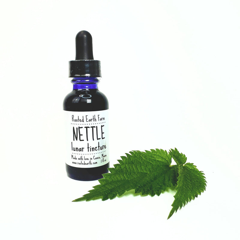 Rooted Earth Farm + Apothecary Nettle Tincture Tinctures + Capsules