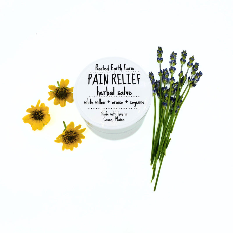 Rooted Earth Farm + Apothecary Pain Relief Salve Herbal Salves + Balms