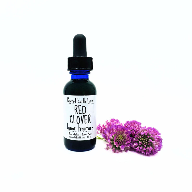 Rooted Earth Farm + Apothecary Red Clover Tincture Tinctures + Capsules