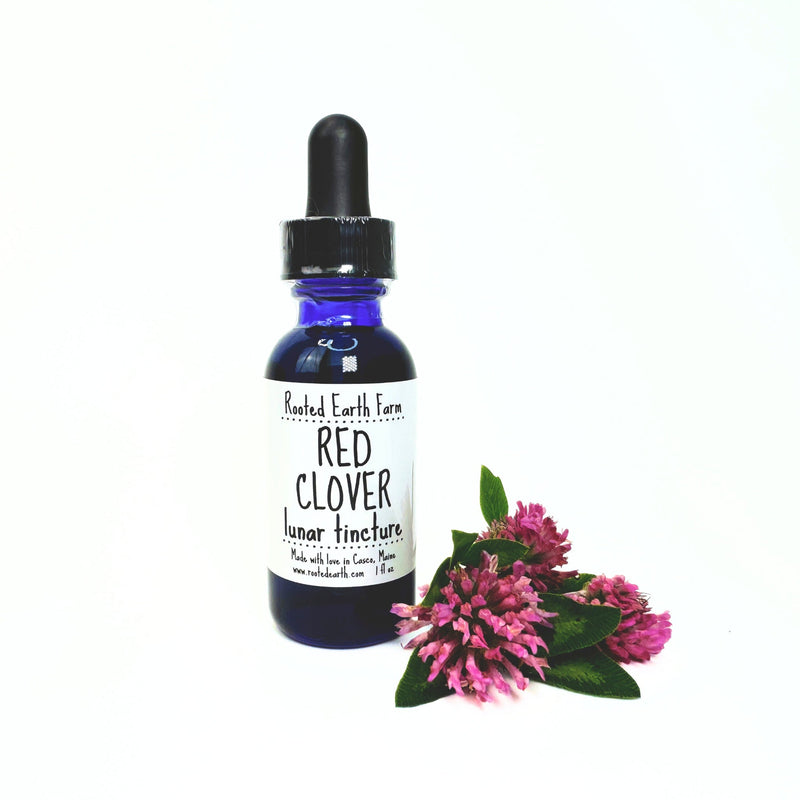 Rooted Earth Farm + Apothecary Red Clover Tincture Tinctures + Capsules