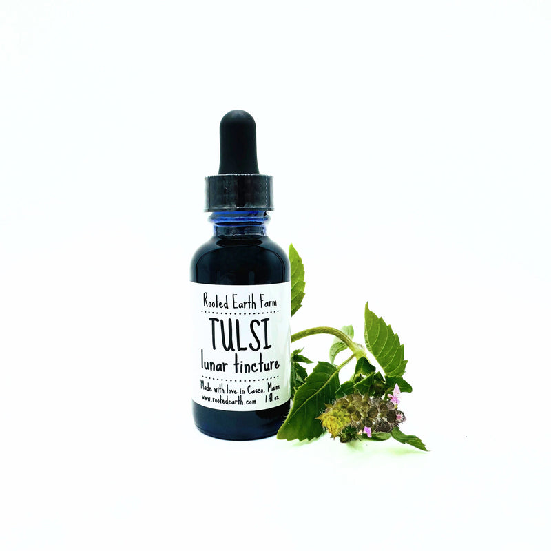 Rooted Earth Farm + Apothecary Tulsi (Holy Basil) Tincture Tinctures + Capsules