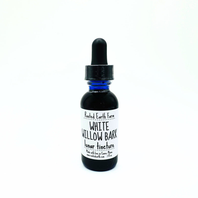 Rooted Earth Farm + Apothecary White Willow Bark Tincture Tinctures + Capsules
