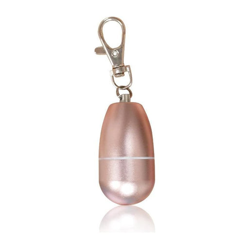 ZAQ Skin & Body - Key Chain Washable Face Oil Absorbing Volcanic Stone Roller