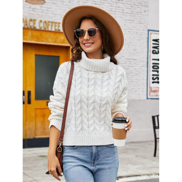 Turtle Neck Cable-Knit Sweater