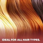 TheSalonGuy 2" Ion Ceramic Round Brush TheSalonGuy Haircare