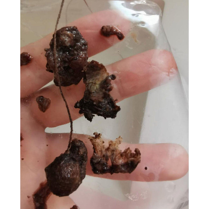 Belle's Secrets Yoni Pearls