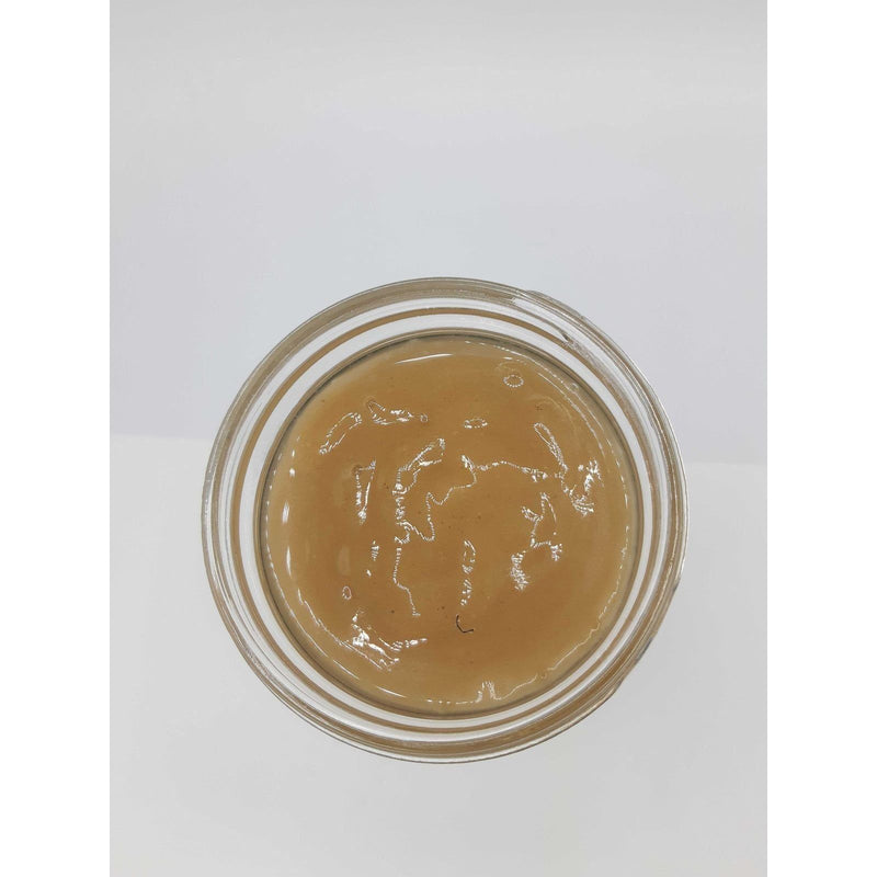 Ocean's Garden Gel Premium Sea Moss with Bladderwrack, Burdock Root, & Blackseed Oil (Half Case) Organic Health