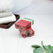 Watermelon Sugar Artisan Soap 5oz