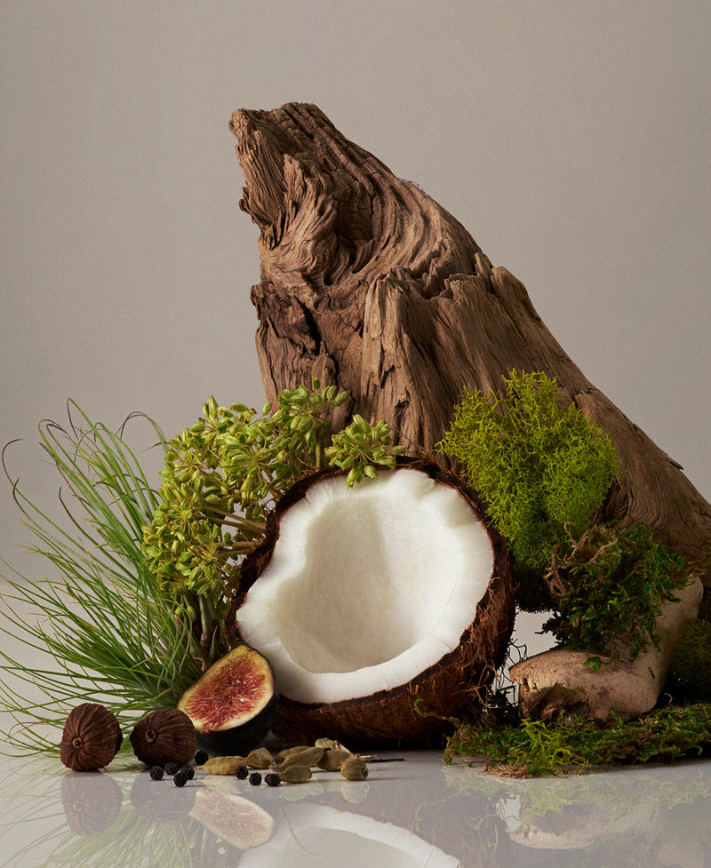 Homecourt Candle Candle Rosy Brown Cece,Neroli Leaf,Steeped Rose,Mandarin Basile,Cipres Mint,Cocomoi,Balsam Fireplace