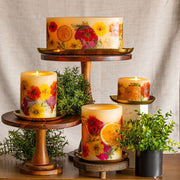 Rosy Rings Gold Accent & Signature Botanical Candle Plate Candle Plate