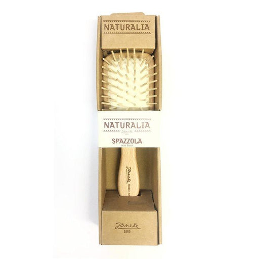 GIORGIO JANEKE Srl GIORGIO JANEKE Srl Naturalia Spazzola Rettangolare 1 Pezzo