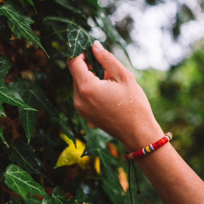 Endangered Macaw OMA Bracelet by One Million Acres