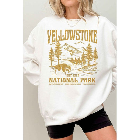 YELLOWSTONE NATIONAL PARK OVERSIZED SWEATSHIRT