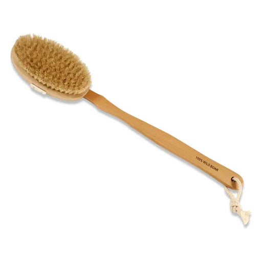 The Sponge Company The Sponge Company Body Brush with Long Handle Body Brush