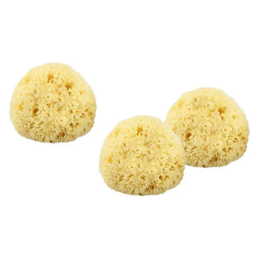 The Sponge Company Sea-Silk Cosmetic Sponge #1 (3PC-Set) [101-03]