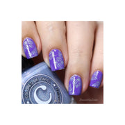 UberChic Beauty Collection 20 Stamping Plate