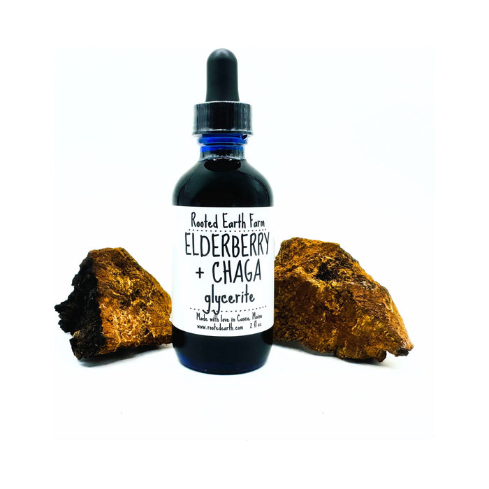 Elderberry and Chaga Glycerite