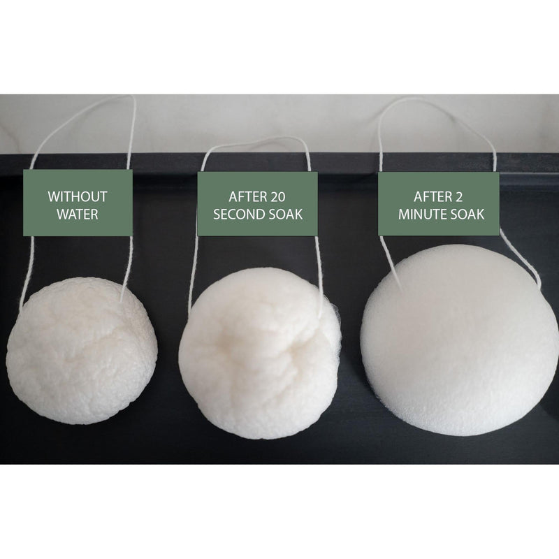 No Tox Life LUNA Facial Sponge - White - No Tox Life®