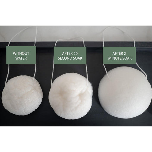 No Tox Life LUNA Facial Sponge - White - No Tox Life®