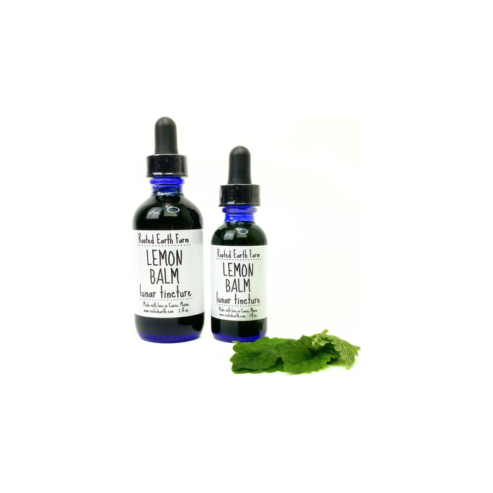 Rooted Earth Farm + Apothecary - Lemon Balm Tincture 1oz - 2oz. 