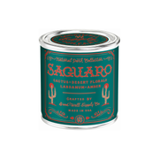 Good & Well Supply Co Saguaro National Park Candle Candles