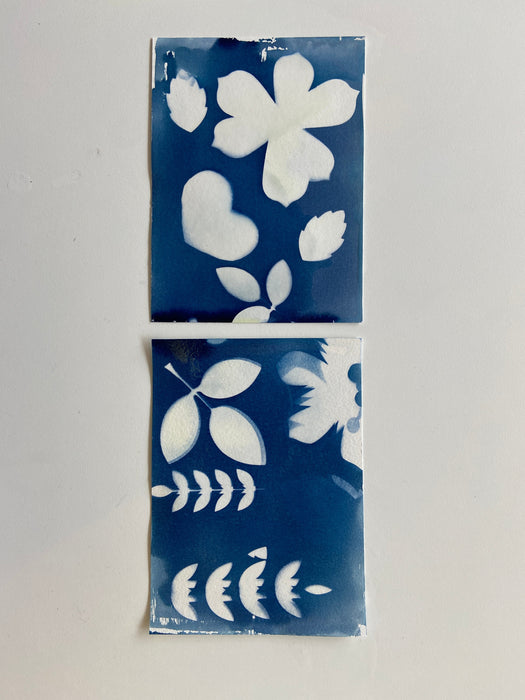 Cyanotype DIY Kit