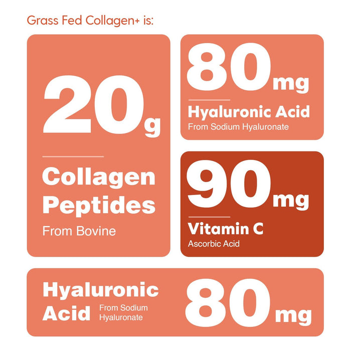 Collagen+ with Hydrolyzed Collagen Powder - Biotin - Hyaluronic Acid & Vitamin C