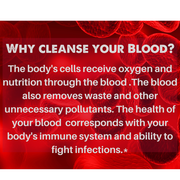 SpeedyVite® Blood LifeBoost® Tea | USDA Organic Herbal Cleansing Tea (4 oz / 8 oz / 28 Bags) | SpeedyVite® - FREE SHIPPING Tea