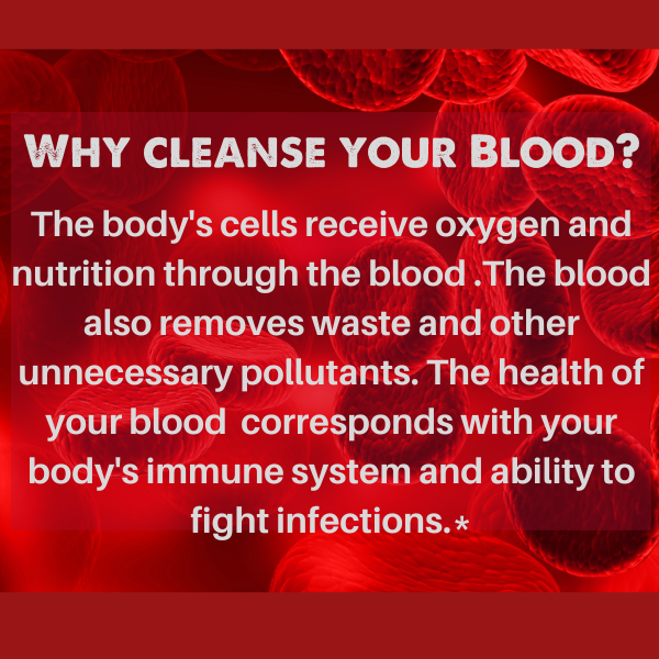 SpeedyVite® Natural Blood Cleanser Drops (2 fl oz) | Organic & Wildcrafted | SpeedyVite - FREE EXPEDITED Drops