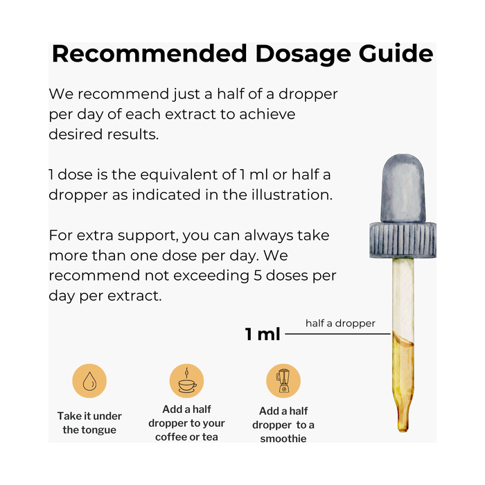 Cordyceps Extract