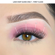 Pink Purée First Class DIY Lashes
