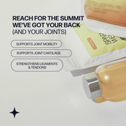 Sparkle Wellness Joint Boost Dietary Supplement