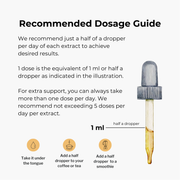 Forager's Kingdom Maitake Extract Mushroom Extract