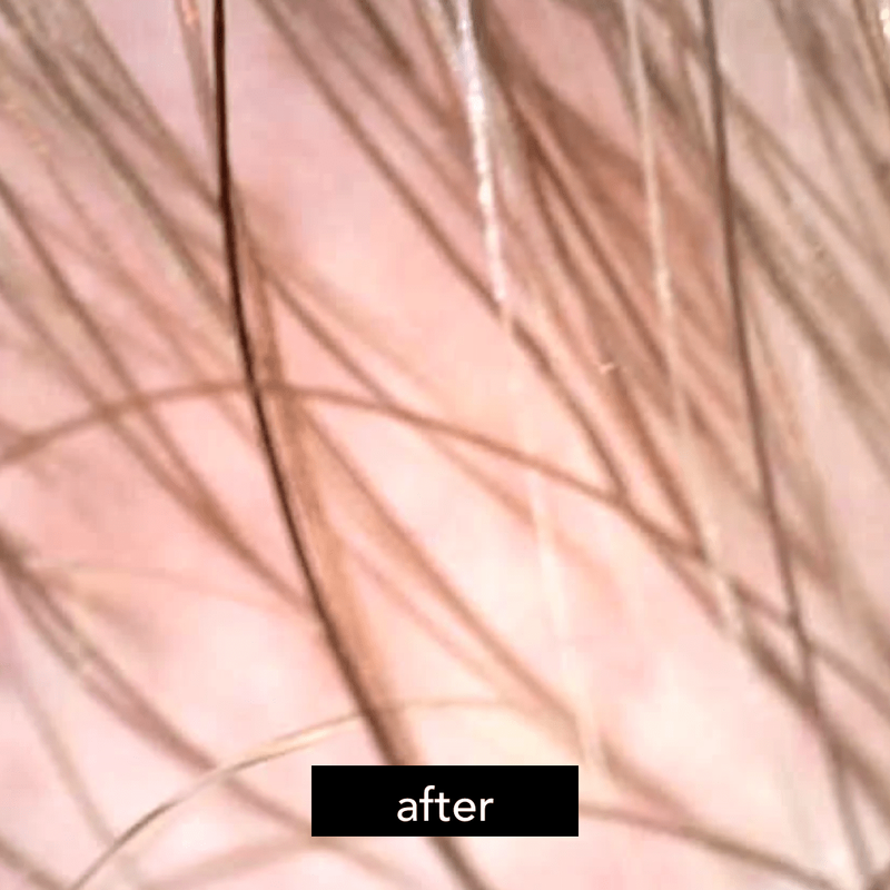 Curls & Potions Chebula & Green Tea Scalp Revival Follicle Stimulating Scrub HAIR conditioner