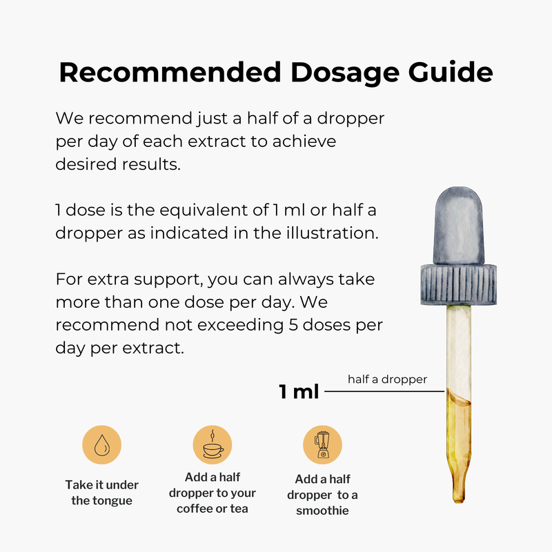 Forager's Kingdom Chaga Extract Mushroom Extract
