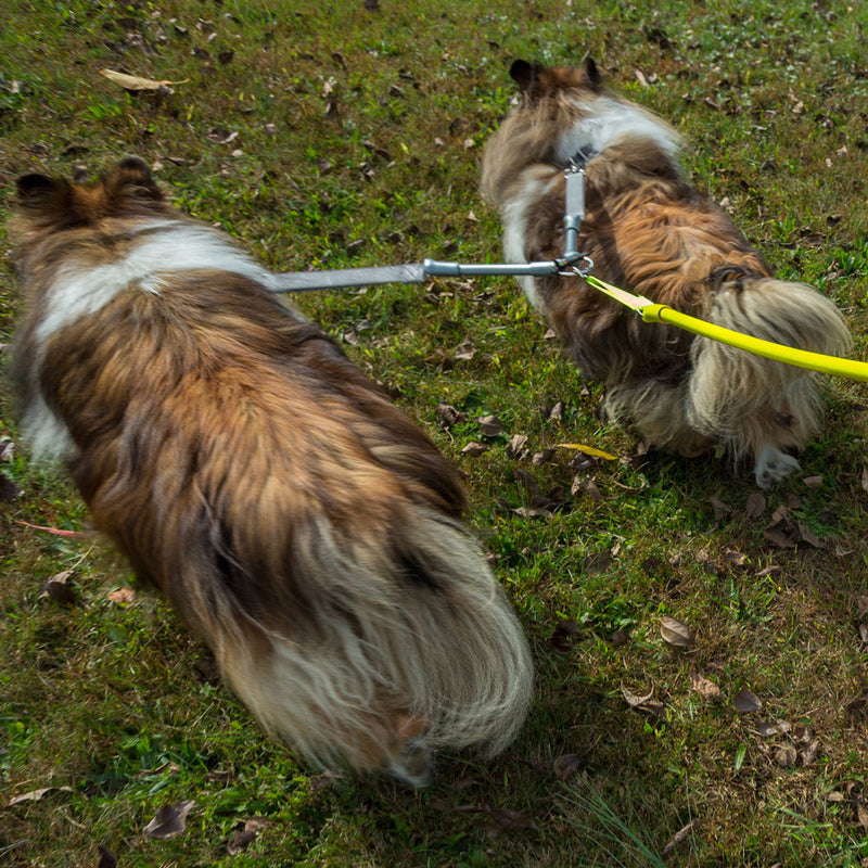WACKYstore CRAZYcoupl'r - 2 Dogs on 1 Leash