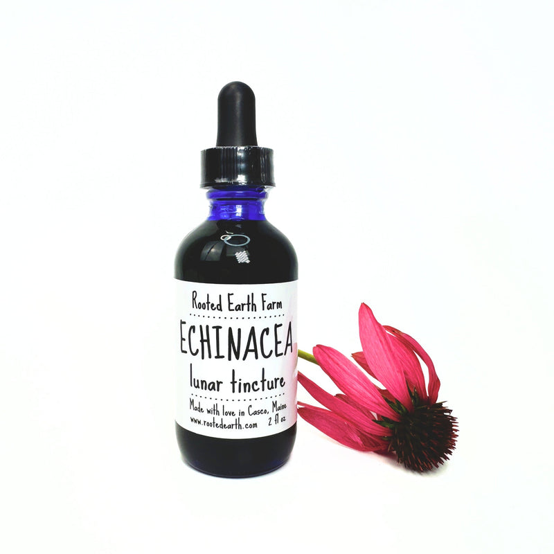 Rooted Earth Farm + Apothecary Echinacea Tincture Tinctures + Capsules
