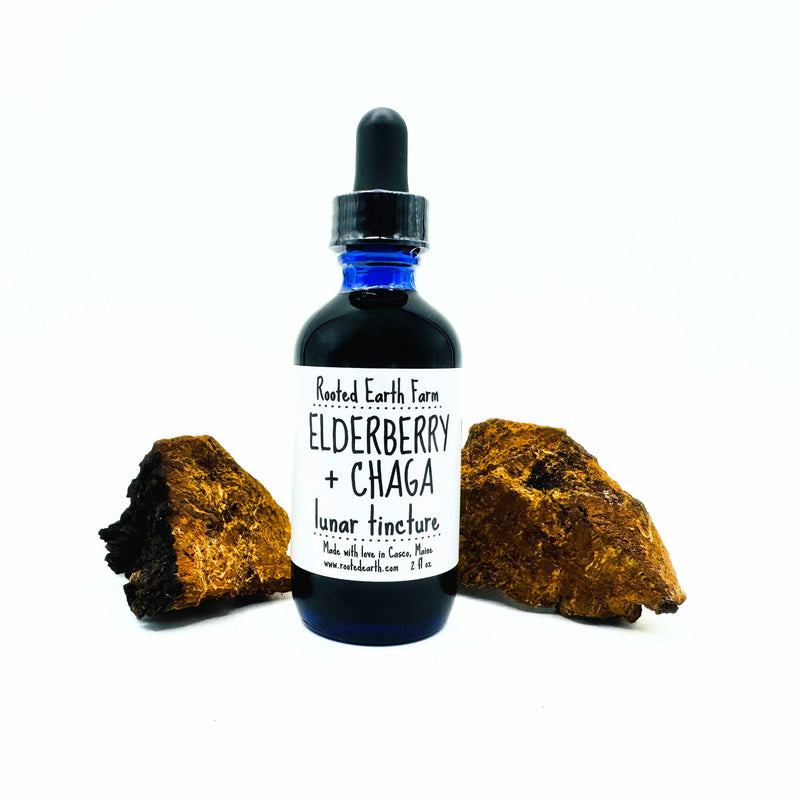 Rooted Earth Farm + Apothecary Elderberry and Chaga Tincture Tinctures + Capsules