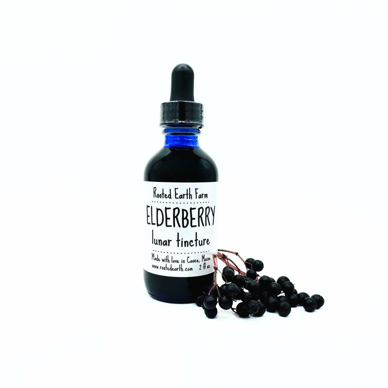 Rooted Earth Farm + Apothecary Elderberry Tincture Tinctures + Capsules