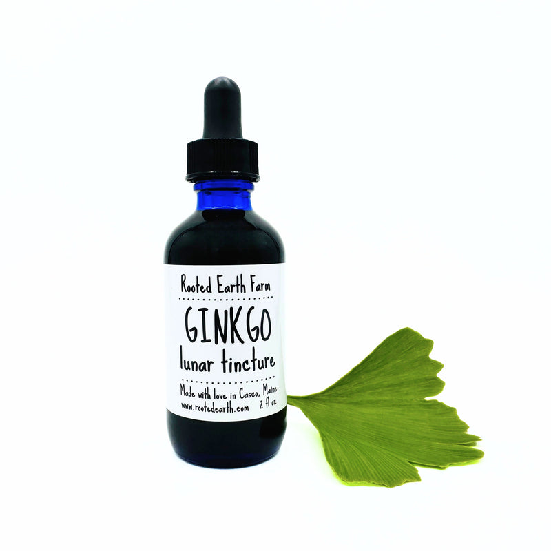 Rooted Earth Farm + Apothecary Ginkgo Tincture Tinctures + Capsules