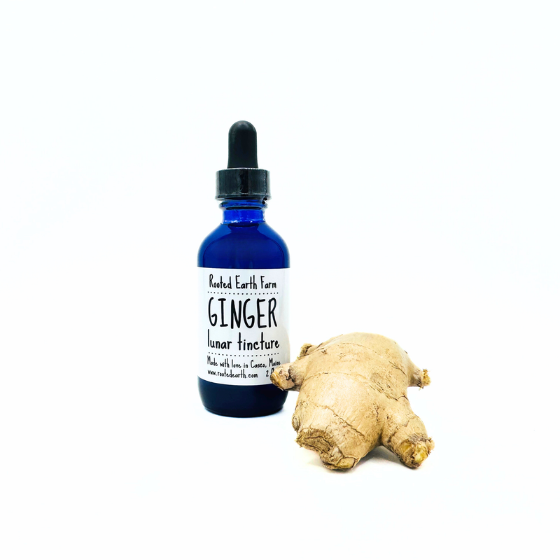 Rooted Earth Farm + Apothecary Ginger Tincture Tinctures + Capsules