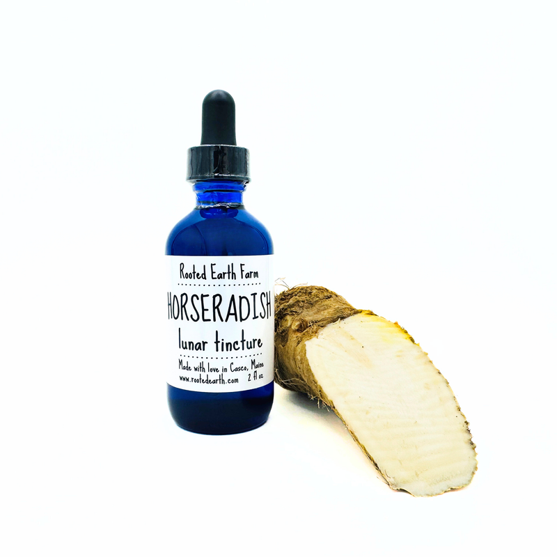 Rooted Earth Farm + Apothecary Horseradish Tincture Tinctures + Capsules