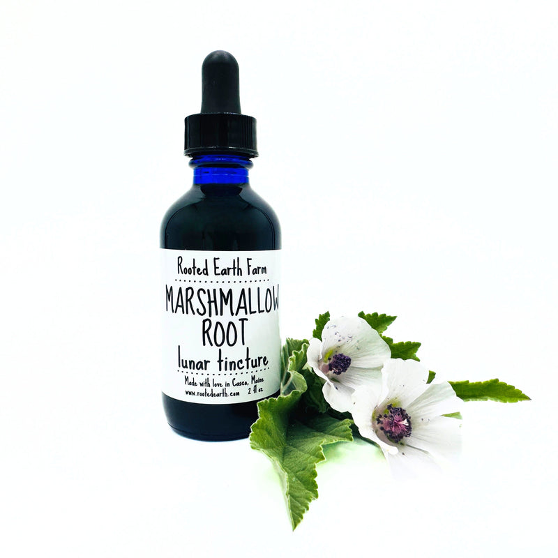 Rooted Earth Farm + Apothecary Marshmallow Root Tincture Tinctures + Capsules