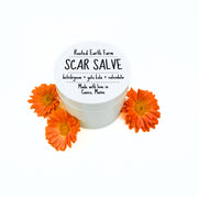 Rooted Earth Farm + Apothecary Scar Salve Herbal Salves + Balms