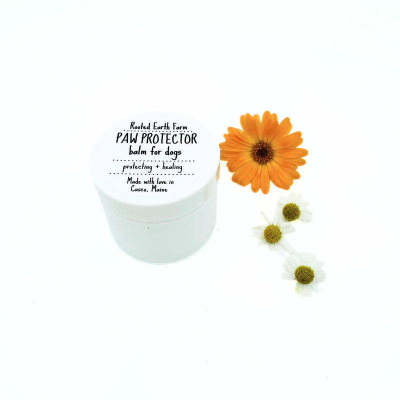 Rooted Earth Farm + Apothecary Paw Protector Balm Pet Care